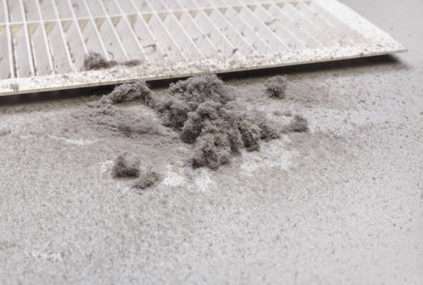 Best Local Air Duct Cleaning Services  in Creston, IA